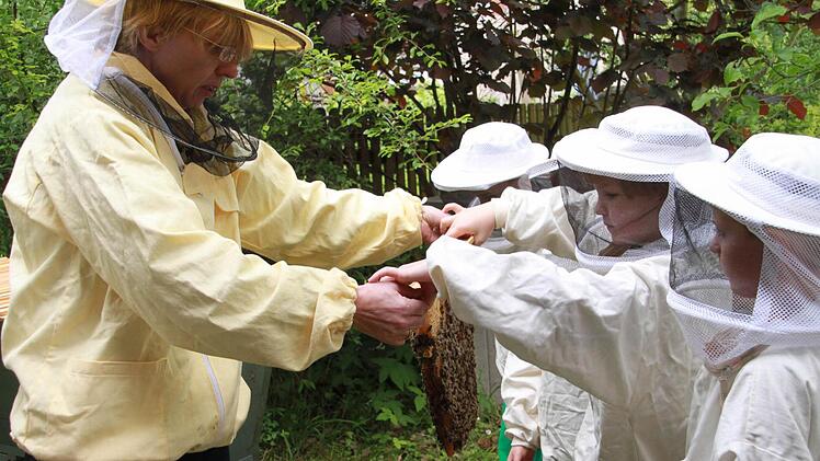 Schüler der Lichtenfelser Dr.-Roßbach-Schule erleben in ihrem Schulgarten regelmäßig Bienen hautnah. Foto: Ramona Popp