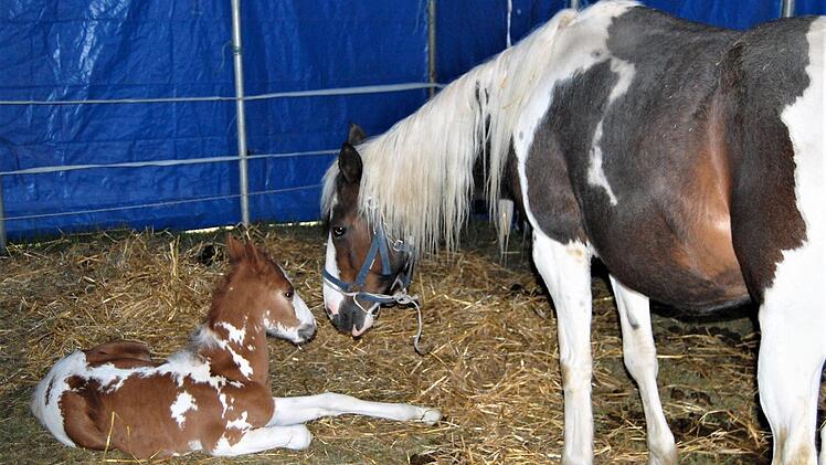 Foto: Sigismund von Dobschütz