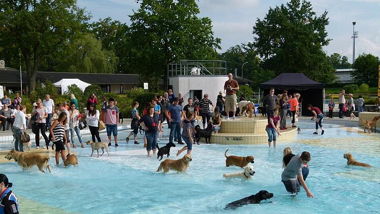 Aus ganz Nordbayern strömten Hundebesitzer und Zuschauer in das Stadionbad. Foto: Marion Krüger-Hundrup