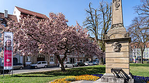 Bamberg im Frühling.