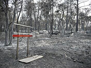 Waldbrand bei Paris
