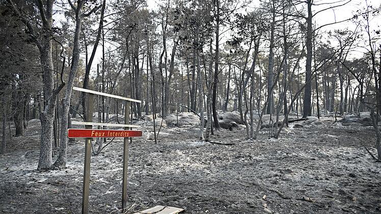 Waldbrand bei Paris