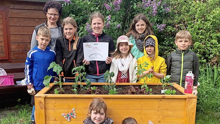 Die Neuenseer Wühlmäuse haben ihr Hochbeet mit großem Eifer bepflanzt und verschönert.