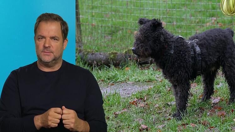 Martin Rütter wünscht sich mehr Ruhe für den gestressten Bernie.