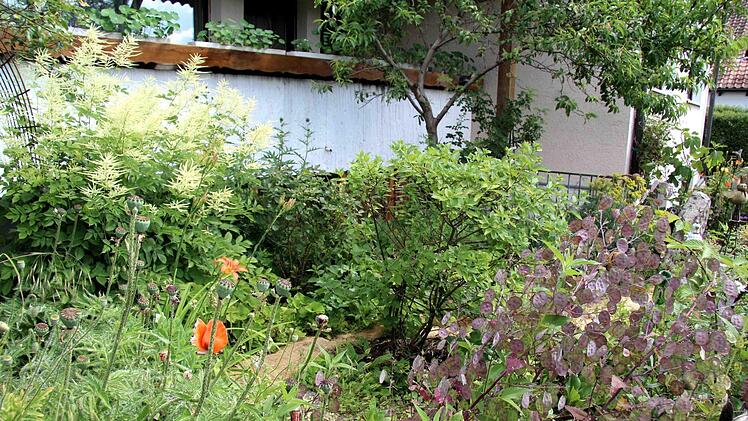 Foto: Richard Sänger