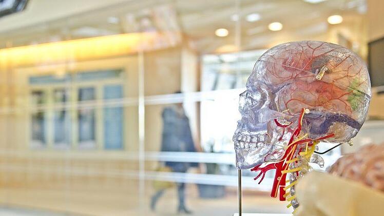 Zwei Ärzte des Bayreuther Klinikums  setzten die Versorgungsqualität in Frage. Jetzt verlieren sie ihren Job. Symbolbild: pixabay.com