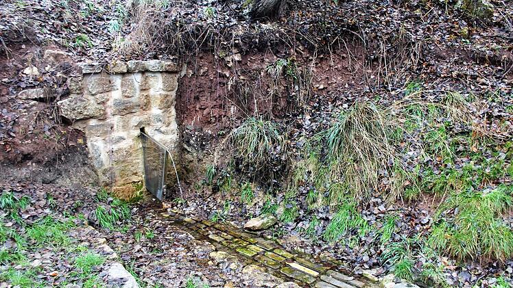 Die Stiftung "1150 Jahre Dorfgemeinschaft Gemünda" schloss 2018 das Projekt "Quelle an der Heiligenleite" ab. Diese hat sich zu einem beliebten Ausflugsziel für Wanderer entwickelt. Foto: Carsten Höllein