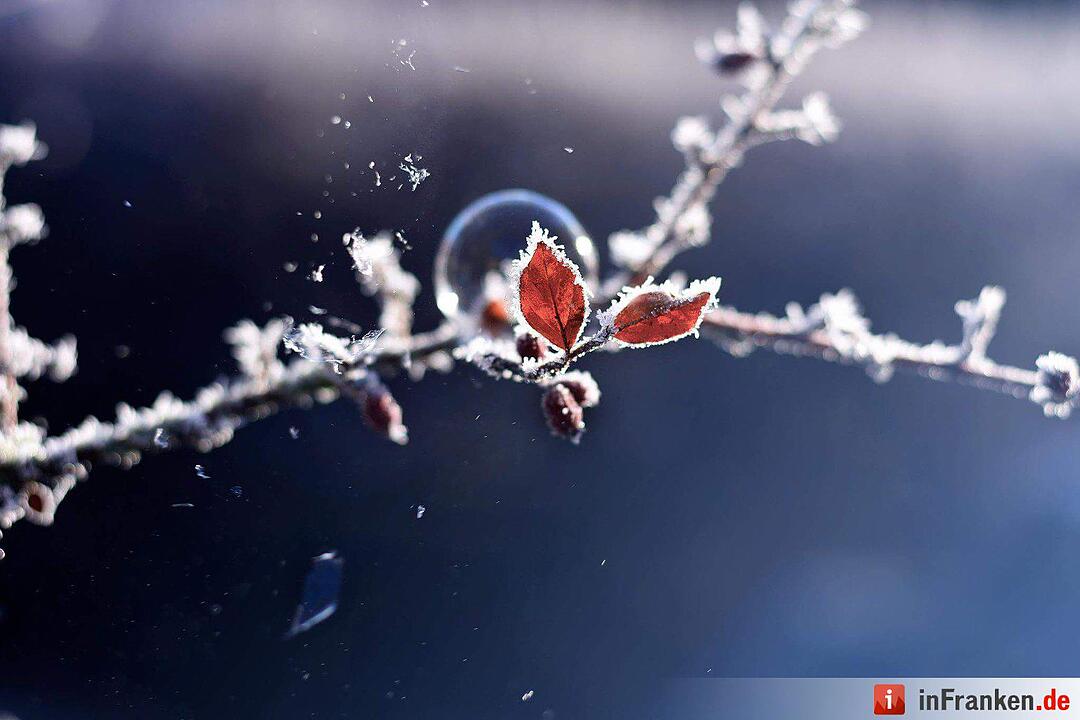 Eis und Schnee in Franken - die schönsten Winterleserfotos