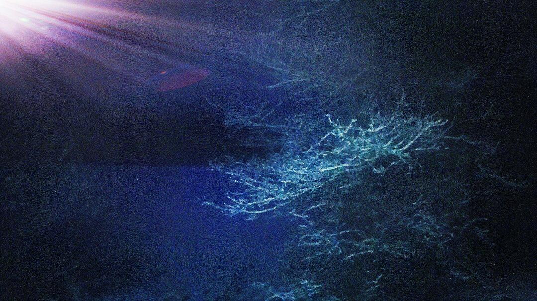 Schnee und Eis - Die schönsten Aufnahmen aus Franken