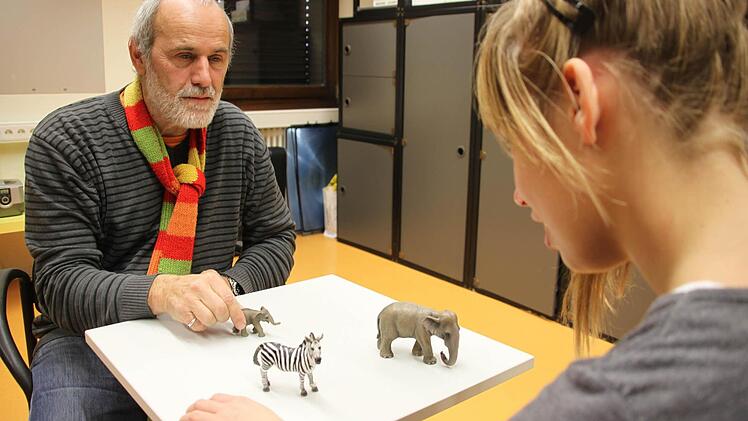 Psychologe Matthias Zeschitz arbeitet mit der 14-jährigen Laura an ihrer visuellen Zuordnungsfähigkeit - mit Erfolg. Inzwischen erkennt sie sofort, wo der kleine Elefant hingehört.  Foto: Julia Riegler