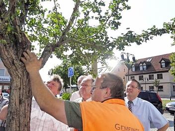 Vor Ort verschaffte man sich einen Überblick über den Pilz.  Foto: Lindner