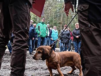 Jagdhündin Lilli an der Seite von Revierleiter Tobias Wallrapp.  Foto: Gerd Schaar