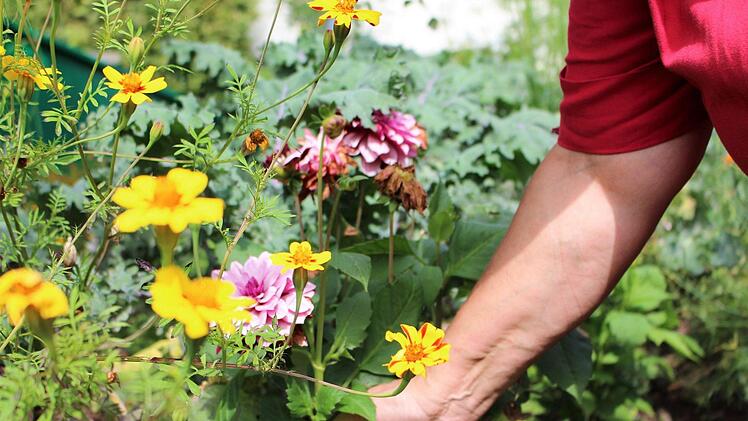 Die Mitarbeiter, Besucher und Helfer dürfen gerne selbst Hand anlegen im Lebensgarten des Hauses Volkersberg. Foto: Julia Raab