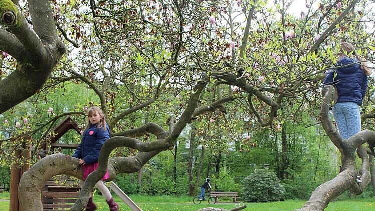 Nicht nur Spielplätze gibt es in Bad Brückenau für Kinder zu entdecken. Foto: Julia Raab
