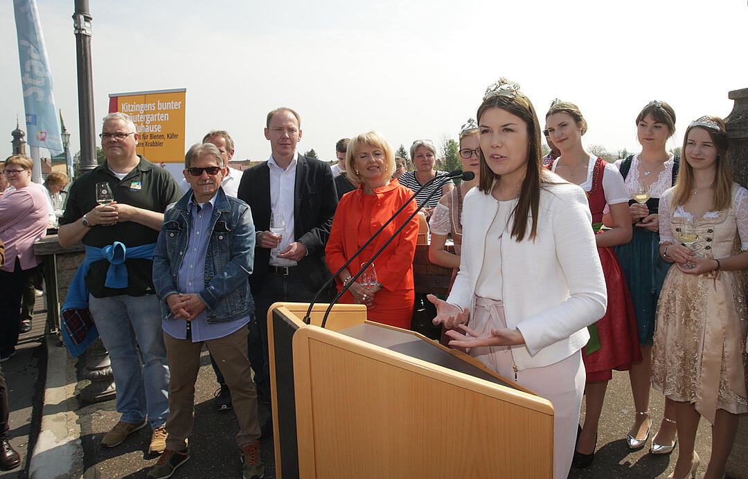 Mainfestival/Stadtschoppen