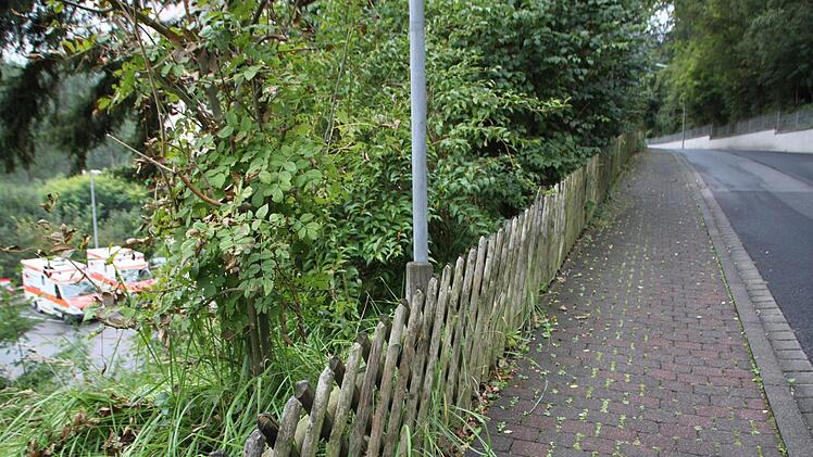 Die Hecke ist vor Kurzem geschnitten worden - das war auch mehr als nötig. Foto: Ulrike Müller