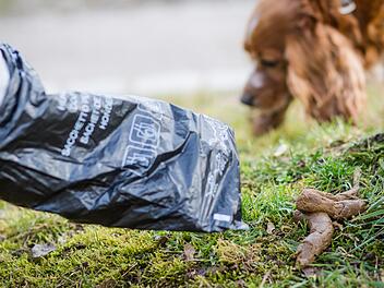 Hundekot auf Radweg: Streit in Forchheim eskaliert