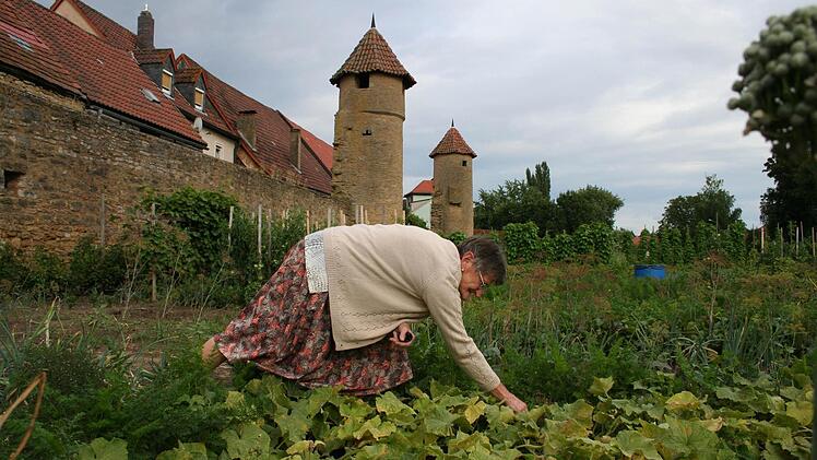 Die Grabengärten werden von den Mainbernheimern zu wenig genutzt. Nun soll ein Architekturbüro etwas Ansprechendes planen.