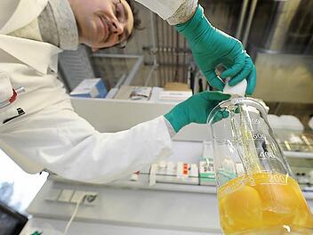 Lebensmittelchemiker Holger Knapp schlägt in einem Labor des Landesamts für Gesundheit und Lebensmittelsicherheit (LGL) in Erlangen Eier für einen Dioxin-Test auf. Eine Außenstelle des LGL kommt 2016 nach Bad Kissingen. Foto: David Ebener/dpa