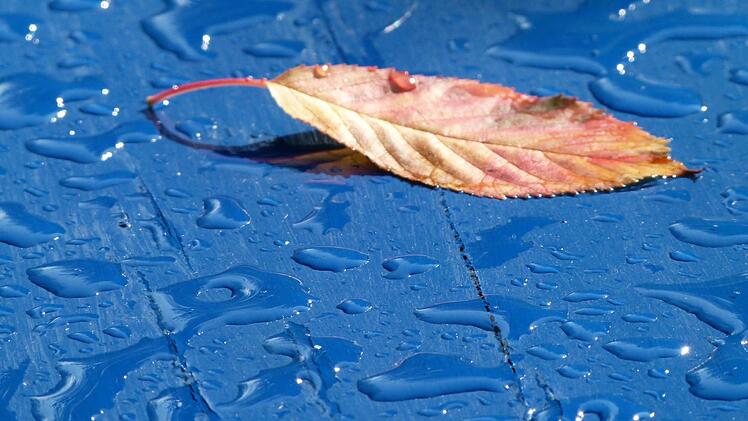 3. Preis "Wasser": "Blauer Gartentisch" von Karl-Heinz Beck, Bamberg.