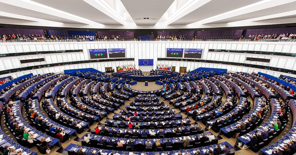 Europaparlament-stimmt-f-r-EuGH-Pr-fung-von-Mercosur-Deal