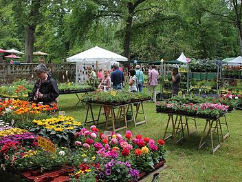 Am vergangenen Wochenende verwandelte sich der Park des Wasserschlosses Mitwitz beim 5. Fränkischen Gartenfest in ein Blütenmeer und Gartenparadies. Foto : Herbert Fischer