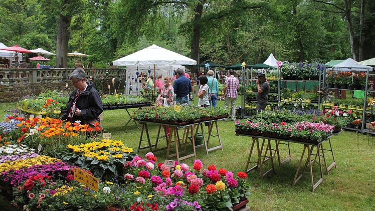 Am vergangenen Wochenende verwandelte sich der Park des Wasserschlosses Mitwitz beim 5. Fränkischen Gartenfest in ein Blütenmeer und Gartenparadies. Foto : Herbert Fischer