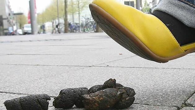 Regelm&auml;&szlig;ig verrichtete ein Mann im hessischen Heuchelheim sein gro&szlig;es Gesch&auml;ft auf dem Gehweg. Ein echtes "Schei&szlig;-Thema", beklagt sich der B&uuml;rgermeister. Symbolfoto: Peter F&ouml;rster dpa/lby
