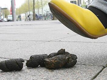 Regelm&auml;&szlig;ig verrichtete ein Mann im hessischen Heuchelheim sein gro&szlig;es Gesch&auml;ft auf dem Gehweg. Ein echtes "Schei&szlig;-Thema", beklagt sich der B&uuml;rgermeister. Symbolfoto: Peter F&ouml;rster dpa/lby