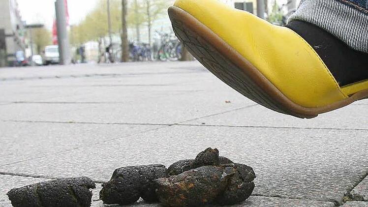 Regelm&auml;&szlig;ig verrichtete ein Mann im hessischen Heuchelheim sein gro&szlig;es Gesch&auml;ft auf dem Gehweg. Ein echtes "Schei&szlig;-Thema", beklagt sich der B&uuml;rgermeister. Symbolfoto: Peter F&ouml;rster dpa/lby