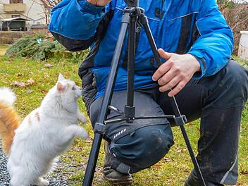Mit der Videokamera dokumentiert Michael Fischer den Alltag auf dem heimischen Bauernhof.Dagmar Besand