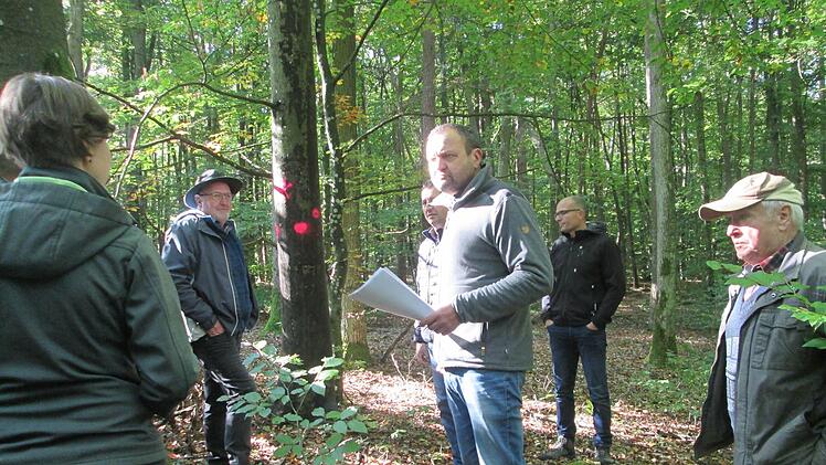 Rote Punkte bedeuten absterbende Bäume. Förster Rainer Bräunig (Mitte) muss in mehreren Waldabteilungen die Baumarten umstellen.