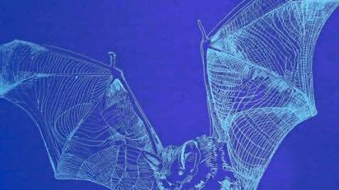 Gemalte Fledermäuse im Schwarzlicht.