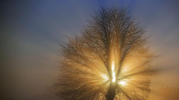 Der Montagmorgen bringt dichte Nebelfelder mit sich. Die Sonne k&auml;mpft sich langsam durch. Foto: dpa / Jens B&uuml;ttner