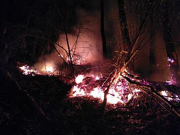 Lohr am Main: Waldbrand macht Feuerwehr zu schaffen