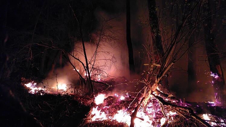Lohr am Main: Waldbrand macht Feuerwehr zu schaffen