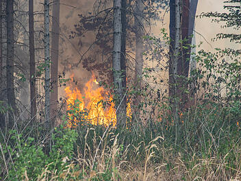 Waldbrandgefahr in Mittelfranken