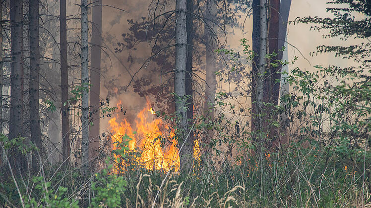 Waldbrandgefahr in Mittelfranken