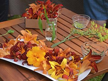 Die Bl&uuml;ten von Kapuzinerkresse, Borretsch und G&auml;nsebl&uuml;mchen sind essbar. Sie verfeinern die K&uuml;che und bringen eine dekorative Note auf den Teller. Die Taglilien bl&uuml;hen von Mai bis August. Wie der Name schon verr&auml;t, bl&uuml;ht die Taglilie nur einen einzigen Tag lang. Ihre essbaren Bl&uuml;ten schmecken frisch und knackig, herb bis zitronig und passen gut zu Sommergerichten, k&ouml;nnen aber auch gef&uuml;llt und ausgebacken werden.