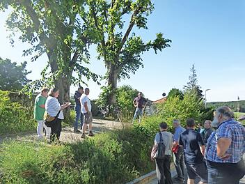 Zur Staatsstraße hin soll eine Mauer errichtet werden. Die zwei großen Linden sollen gefällt werden.