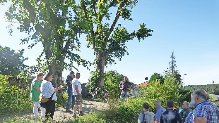 Zur Staatsstraße hin soll eine Mauer errichtet werden. Die zwei großen Linden sollen gefällt werden.