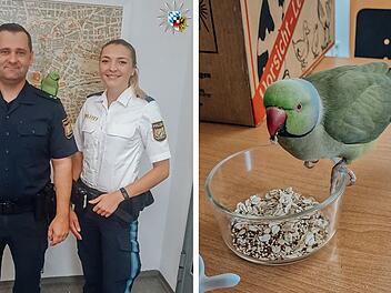 Tierheim Nürnberg: Überraschender Gast bei Polizei Nürnberg - nun gibt es Happy End Tierheim Nürnberg: Überraschender Gast bei Polizei Nürnberg - nun gibt es Happy End