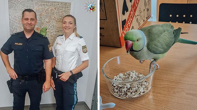 Tierheim Nürnberg: Überraschender Gast bei Polizei Nürnberg - nun gibt es Happy End