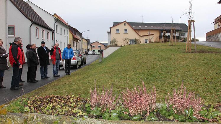 Die Grünfläche in der Vorstadt soll nach der Pflanzung von drei Bäume nun richtig bunt werden.