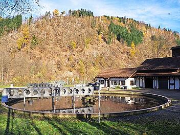 Die Kläranlage in Wallenfels war Thema im Stadtrat.