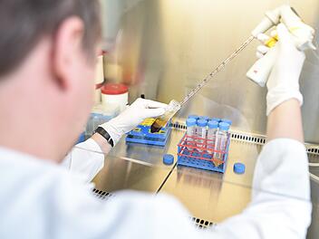 Forschung abseits von Corona