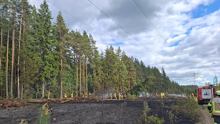Martinlamitz: Große Waldfläche in Flammen - Kripo ermittelt