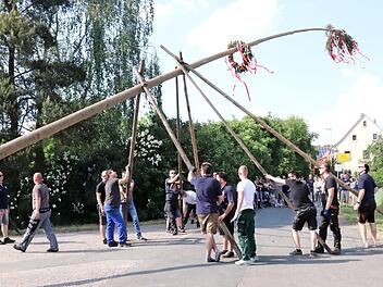 Nach einer halben Stunde war der Kerwabaum aufgerichtet. Foto: Johanna Blum