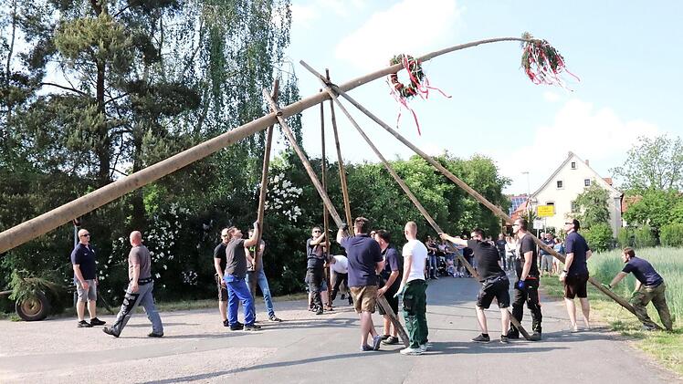 Nach einer halben Stunde war der Kerwabaum aufgerichtet. Foto: Johanna Blum