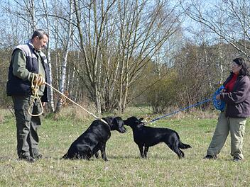 Die Vierbeiner der Hundeführer Neubauer (links) und Beck durften sich erst einmal beschnuppern, bevor der Kurs begann. Foto: Larissa Händel